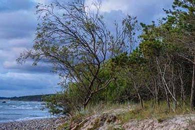 HTML网页制作指南 5步打造精美页面