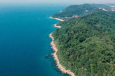 HTML网页制作指南 5步打造精美页面